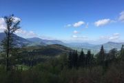 IMG_3661