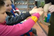 IMG_20190112_105401