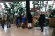 IMG_20190112_111759