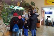 IMG_20190112_111820