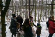 IMG_20190112_113719