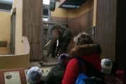 IMG_20190112_123927