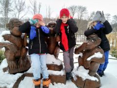 IMG_20190112_135046