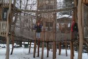 IMG_20190112_140648